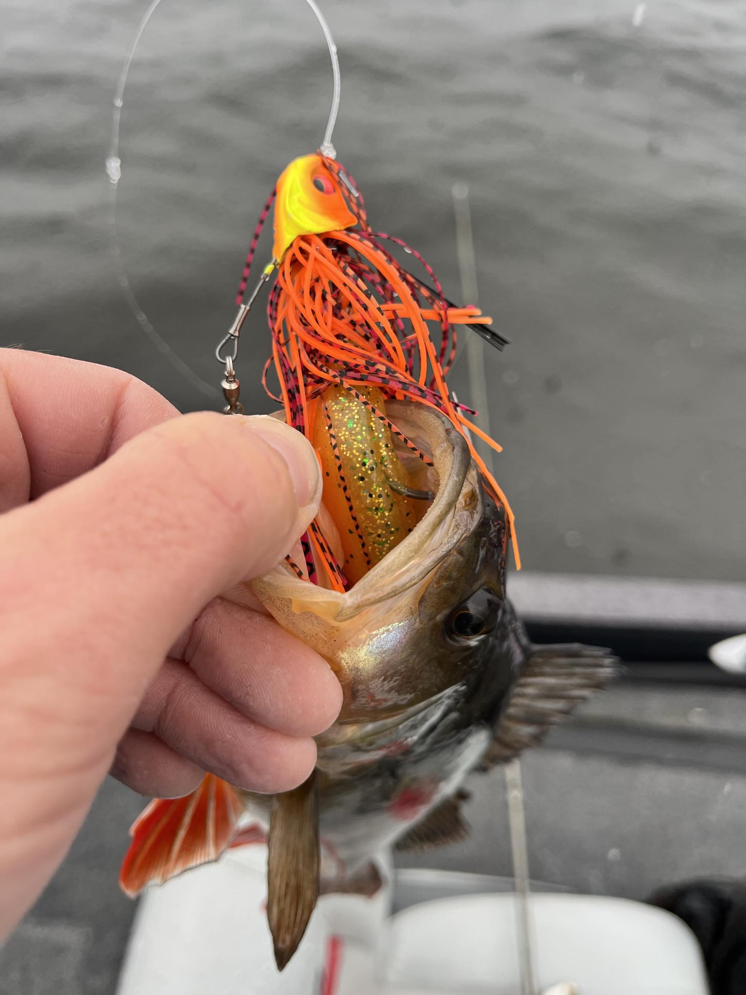 pechebiscarrossesanguinet