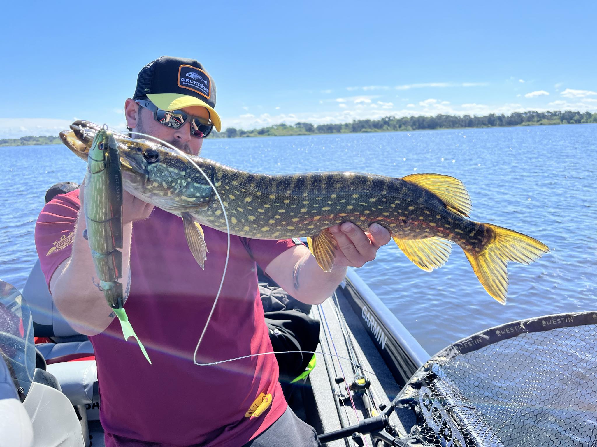 poissonlacsanguinetbiscarrosse