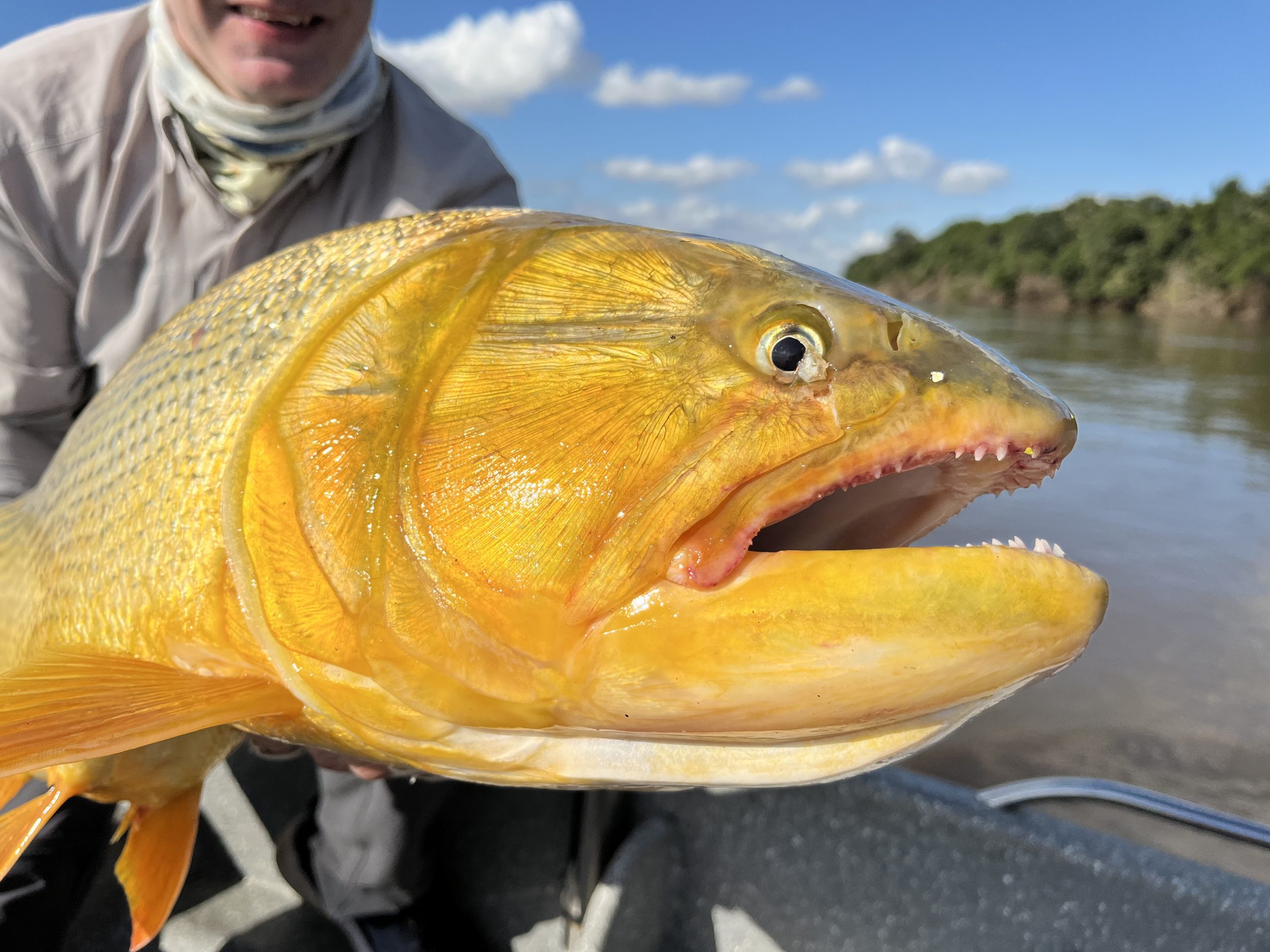 poisson-argentine-peche